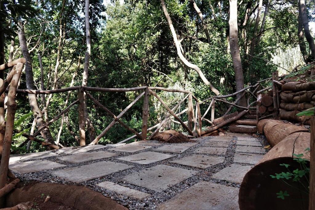 Casa Maria Quinta 4 "Maria Quinta" Διαμέρισμα Calheta  Εξωτερικό φωτογραφία